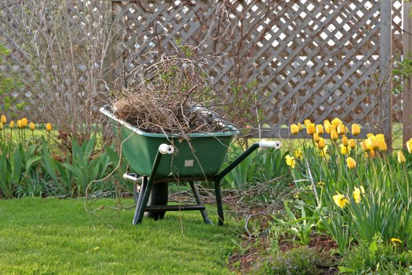 Flower Bed Cleanup Service in Vancouver