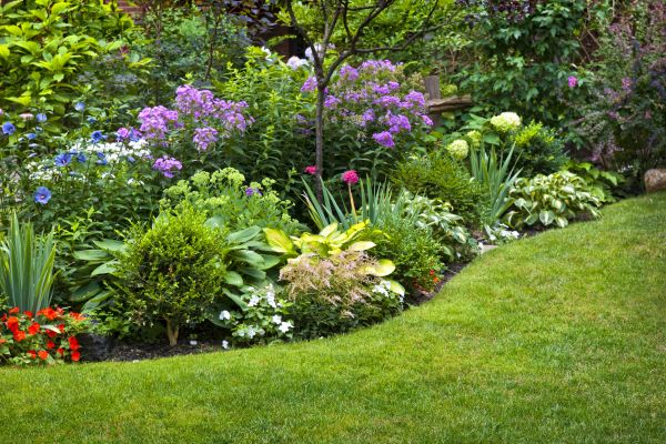 Flower Bed Service in Vancouver