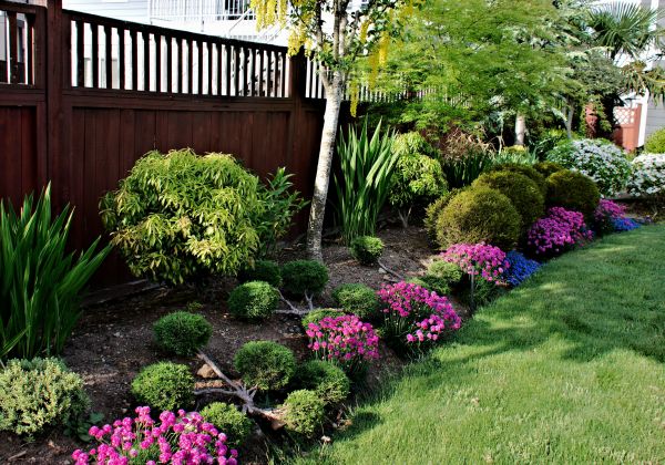 Garden Care Service in Vancouver