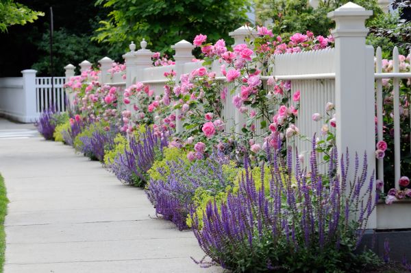 Garden Handyman Service in Vancouver