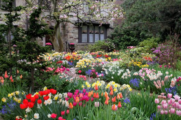 Garden Maintenance Service in Vancouver