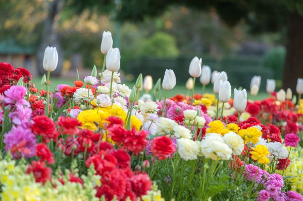 Gardening Service in Vancouver