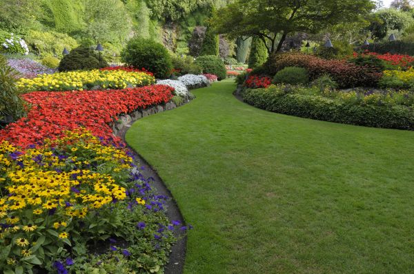 Landscaping Maintenance in Vancouver