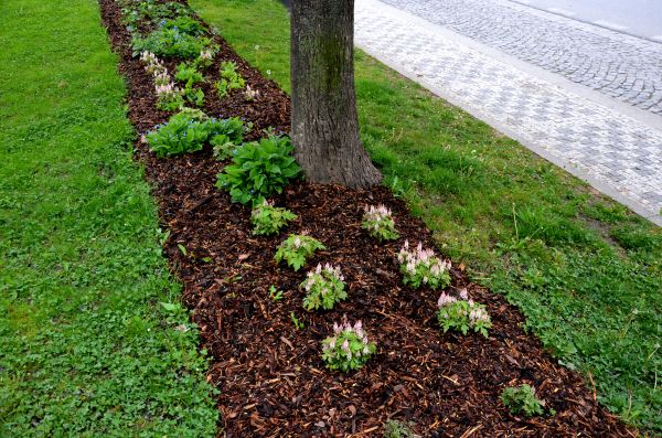 Mulch Replacement Service in Vancouver