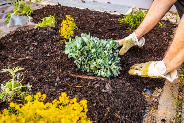 Weeding And Mulching in Vancouver