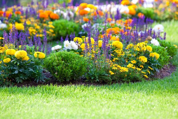 Garden Installation in Vancouver