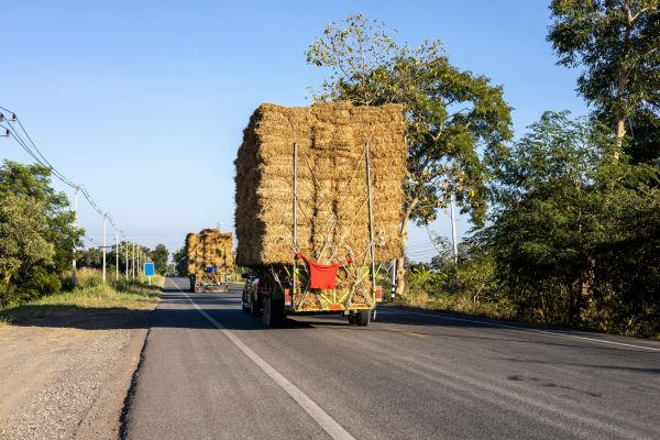Pine Straw Delivery in Vancouver