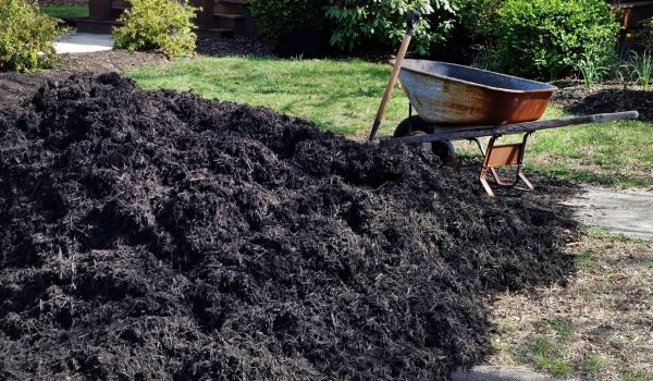 Black Mulch Delivery in Vancouver