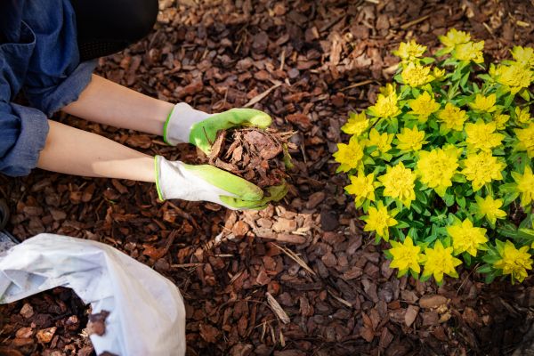 Garden Mulching in Vancouver