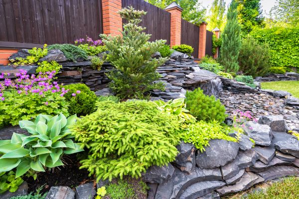 Landscape Remodeling in Vancouver