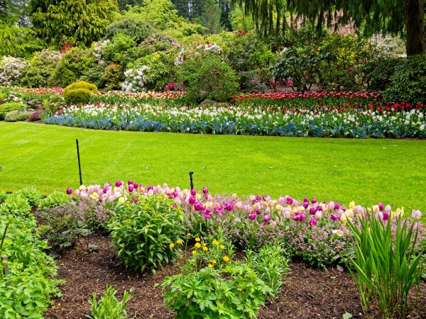 Residential Landscape Design in Vancouver