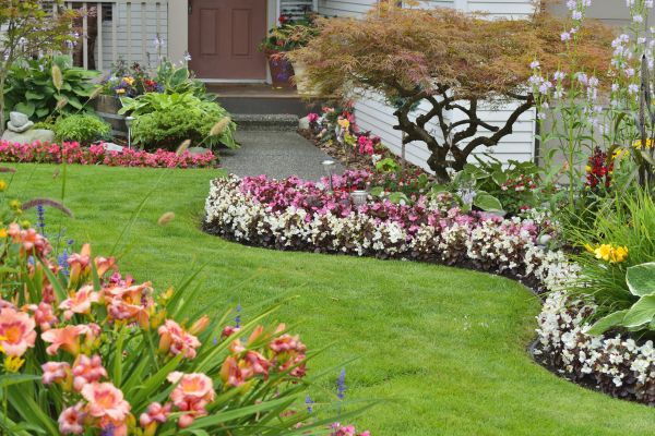 Perennial Landscaping in Vancouver