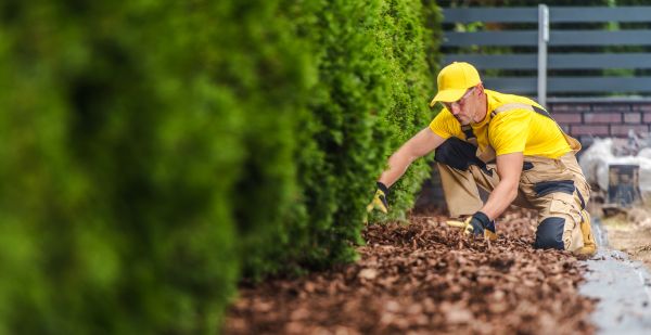 Cypress Mulch Installation in Vancouver