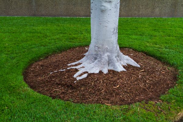 Brown Mulch Installation in Vancouver