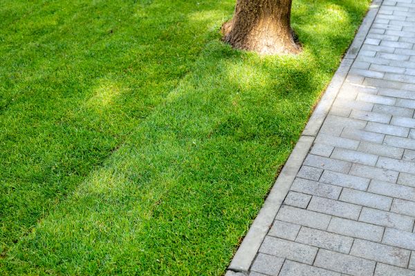 Border Stone Installation in Vancouver