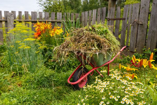 Garden Cleanup Service in Vancouver