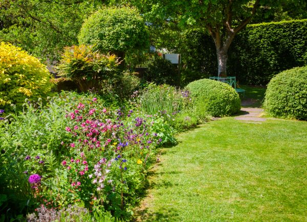 Yard Landscaping Service in Vancouver