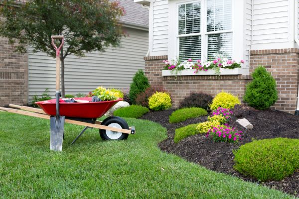 Tree And Shrub Planting in Vancouver
