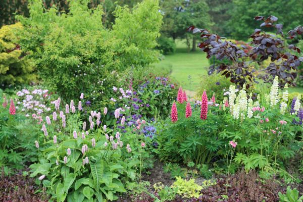Flower Bed Planting in Vancouver