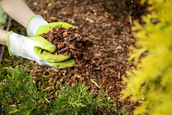 Garden Mulch Delivery in Vancouver