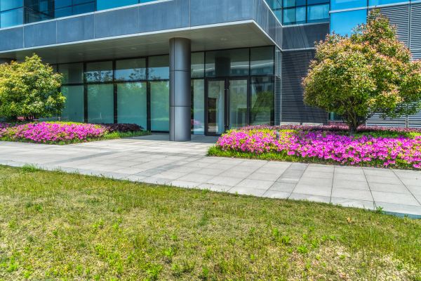 Commercial Gardening in Vancouver