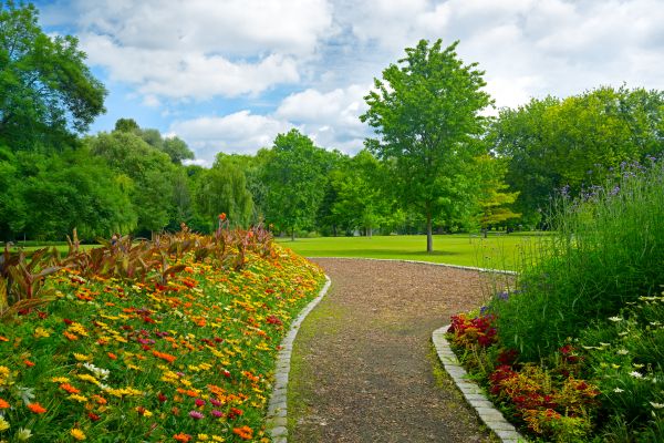 Park Landscaping in Vancouver