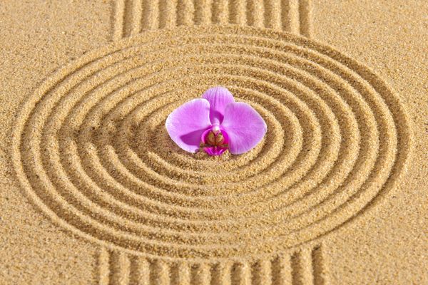 Sand Garden Landscaping in Vancouver