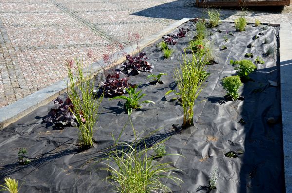 Landscape Fabric Installation in Vancouver
