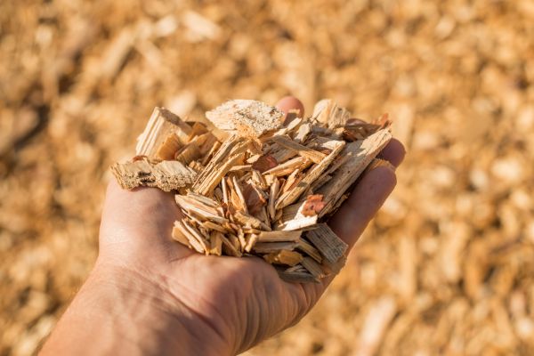 Wood Chips Spreading in Vancouver