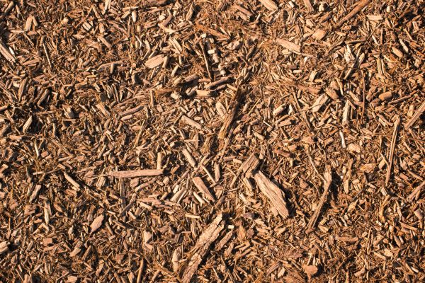 Wood Chips Removal in Vancouver