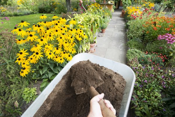 Topsoil Replacement in Vancouver