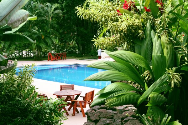 Pool Area Landscaping in Vancouver