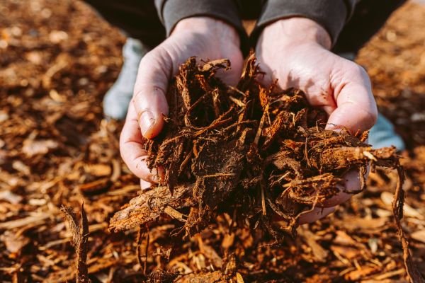 Bark Chips Delivery in Vancouver