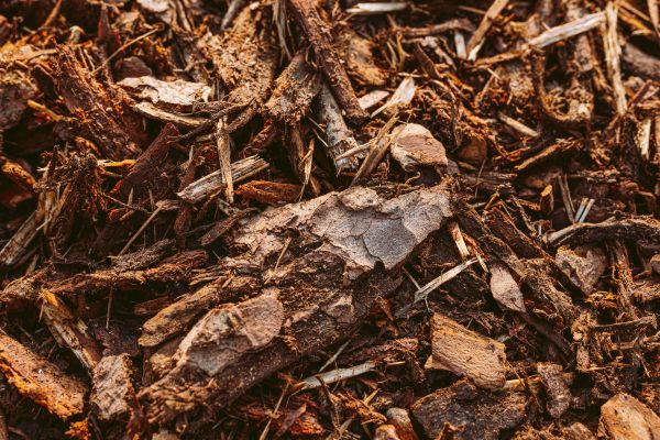 Bark Mulch Delivery in Vancouver