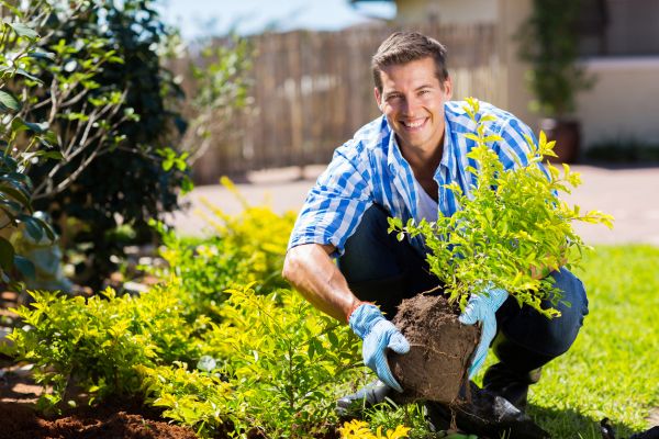 Shrub Landscaping in Vancouver