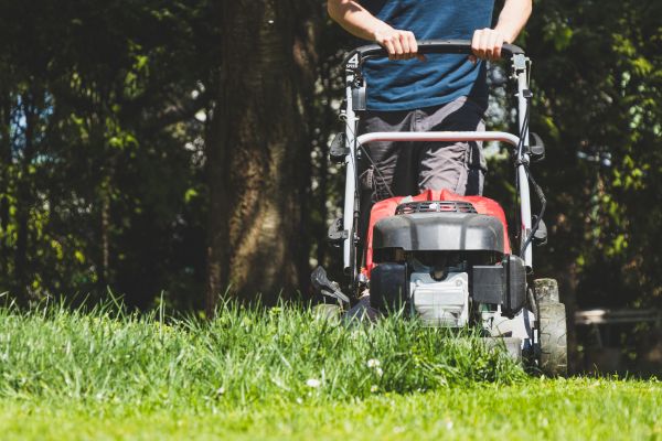 Garden Trimming Service in Vancouver