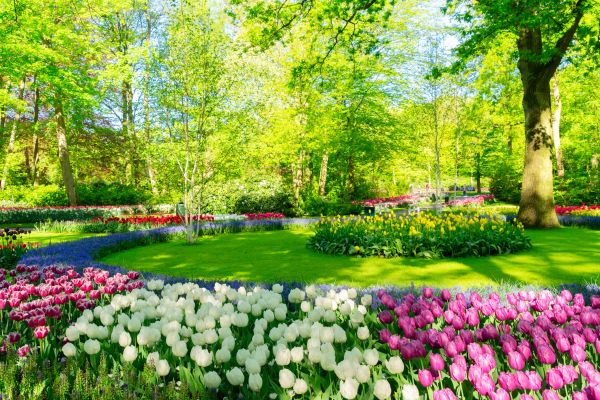 Flower Landscaping in Vancouver