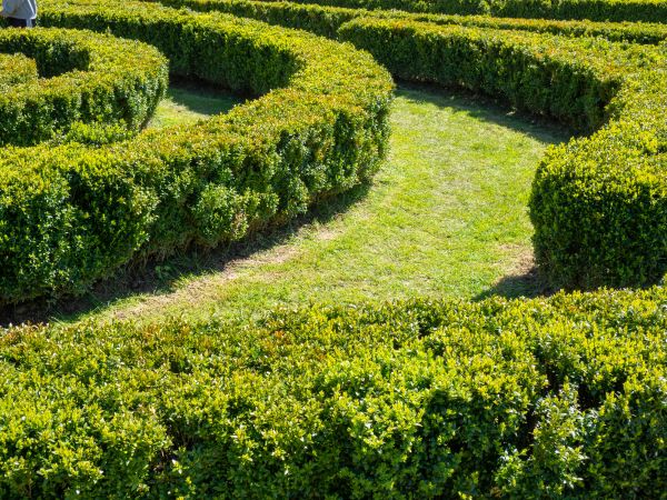 Bush Landscaping in Vancouver