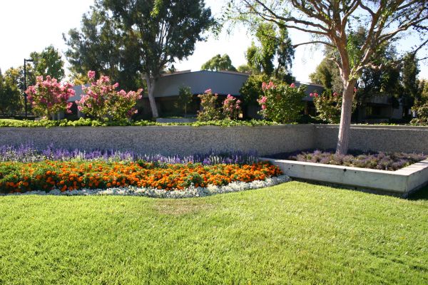 Commercial Landscape Service in Vancouver