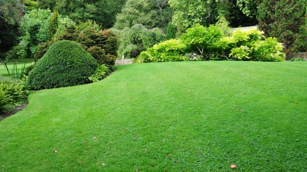 Commercial Landscape Design in Vancouver
