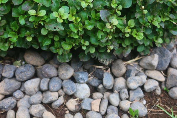 River Stone Installation in Vancouver