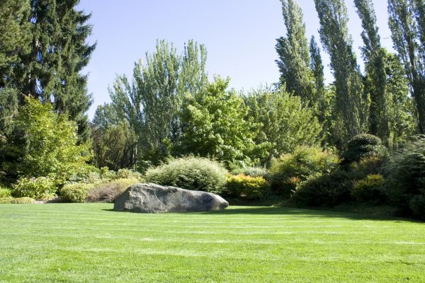 Yard Enlargement in Vancouver