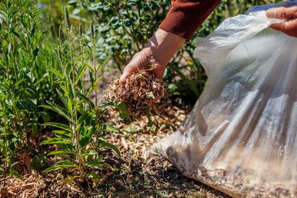 Wood Mulch Installation in Vancouver