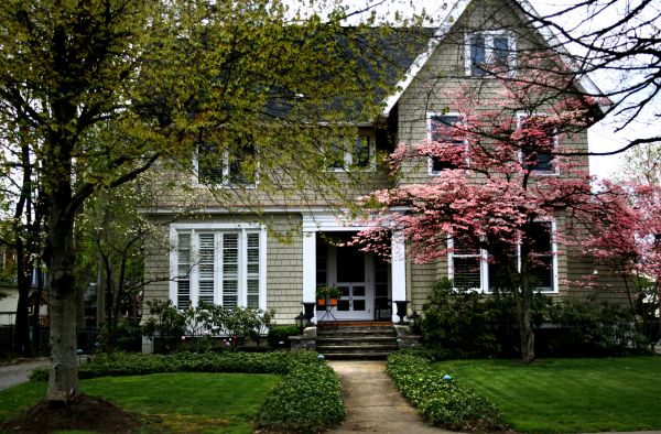 Ornamental Tree Planting in Vancouver
