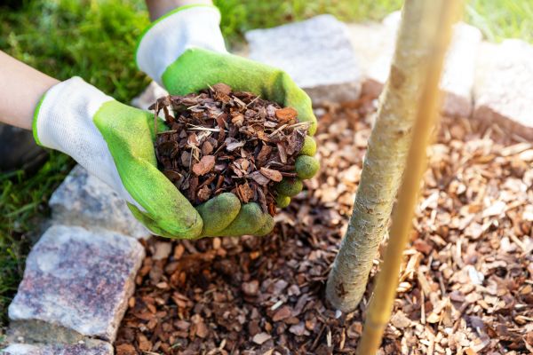 Tree Bark Delivery in Vancouver