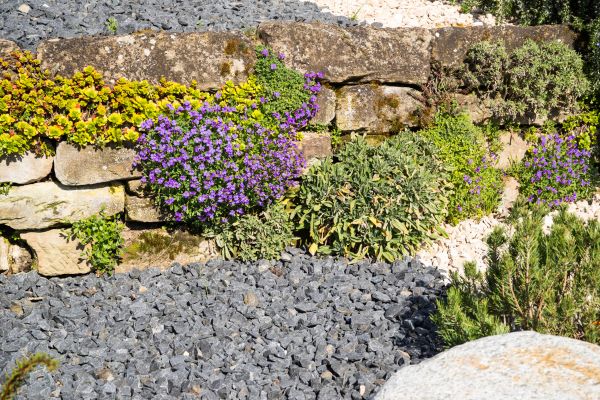 Landscaping Rocks Installation in Vancouver