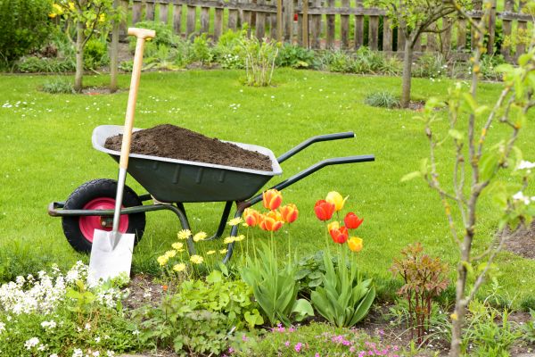 Spring Yard Renovation in Vancouver
