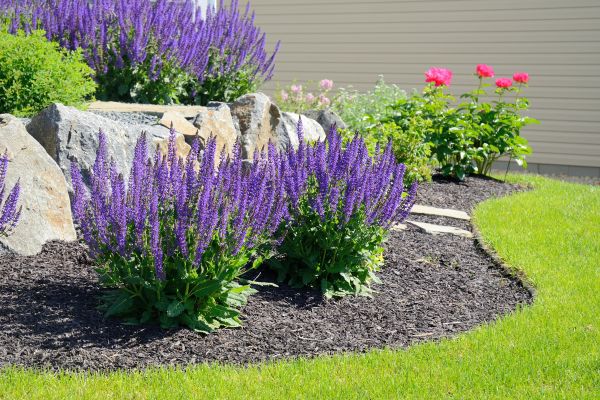Landscape Planting Service in Vancouver