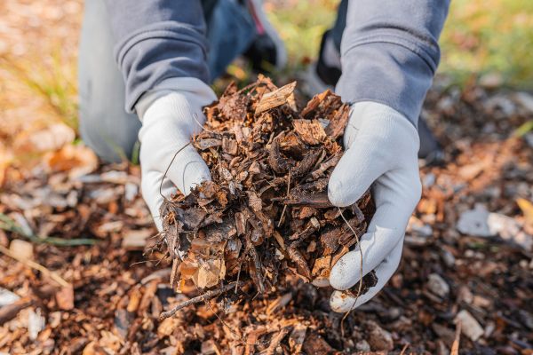 Shredded Mulch Installation in Vancouver
