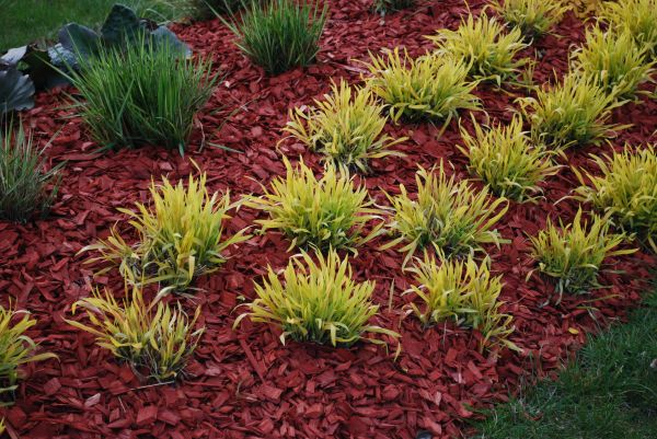 Red Mulch Installation in Vancouver